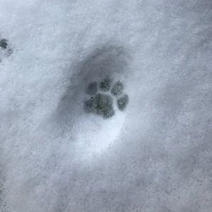 Meet your Posher, Aimee